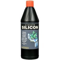 Silicon