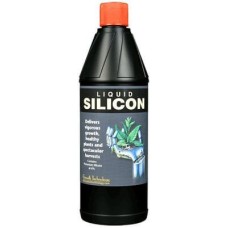 Silicon