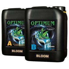 Optimum Bloom A&B