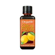 Organic Citrus Focus