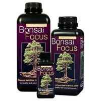 Bonsai Focus