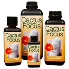 Cactus Focus