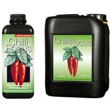 Chilli Focus