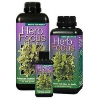 Herb Focus
