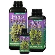Herb Focus