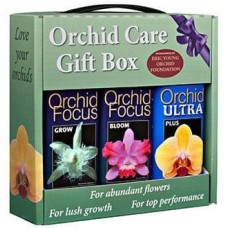 Orchid Care Gift Box