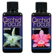 Orchid Focus Grow & Bloom