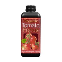 Organic Tomato Focus