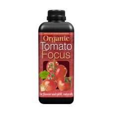 Organic Tomato Focus