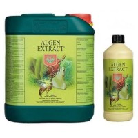 Algen Extract