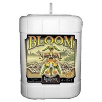 Bloom Natural