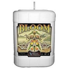 Bloom Natural