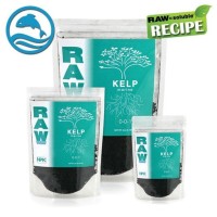 Kelp