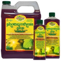 Photosynthesis Plus