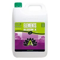 Elements Bloom A&B