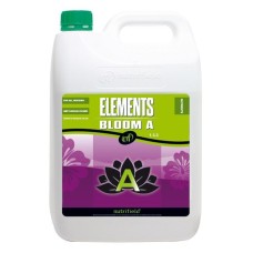 Elements Bloom A&B