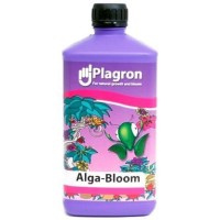 Alga Bloom