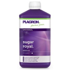 5L Sugar Royal *SALE*