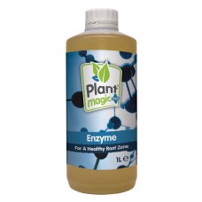 Enzyme