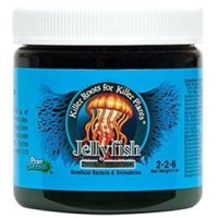 Jelly Fish