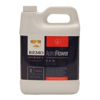 Remo Astro Flower