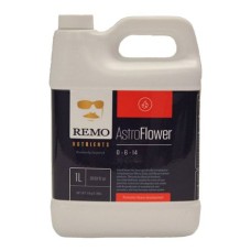 Remo Astro Flower