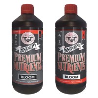 Bloom A&B