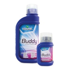 Buddy