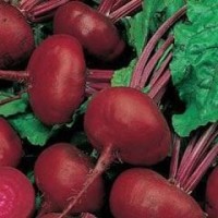 Beetroot 1 packet (600 seeds)