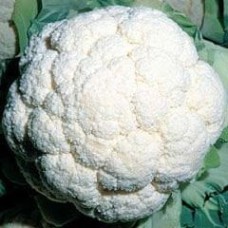Cauliflower 1 packet (750 seeds)