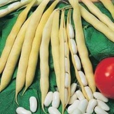 Bush Bean 1 packet (60 grams)