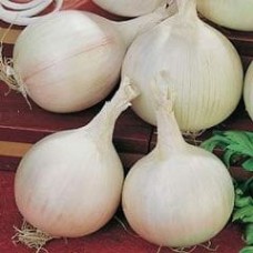 Onion 1 packet (840 seeds)