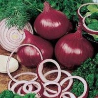 Onion 1 packet (840 seeds)