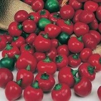 Pepper 1 packet (10 seeds)