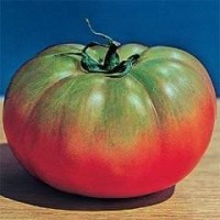 Tomato 1 packet (300 seeds)