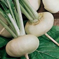 Turnip 1 packet (5400 seeds)