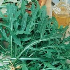 Rocket 1 packet (2000 seeds)