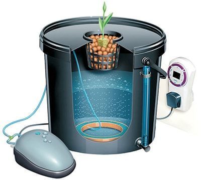 How The DWC Bubbler Works