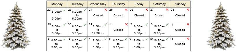 Christmas 2025 Banner