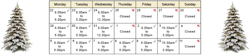 Christmas 2025 Banner